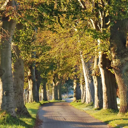 2-raum-ferienwohnung Mit Terrasse In Ruhiger Lage! Daire Goehren (Ruegen)